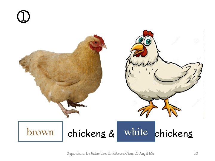 ① brown chickens & white chickens Supervisors: Dr Jackie Lee, Dr Rebecca Chen, Dr