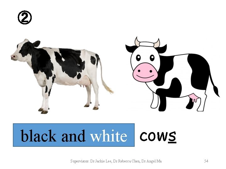 ② black and white cows Supervisors: Dr Jackie Lee, Dr Rebecca Chen, Dr Angel