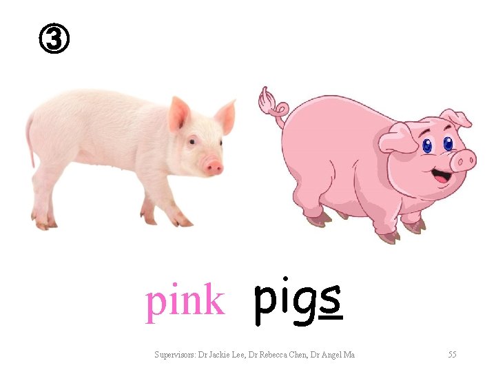 ③ pink pigs Supervisors: Dr Jackie Lee, Dr Rebecca Chen, Dr Angel Ma 55