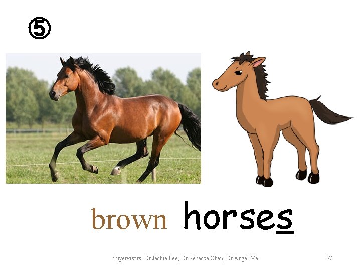 ⑤ brown horses Supervisors: Dr Jackie Lee, Dr Rebecca Chen, Dr Angel Ma 57