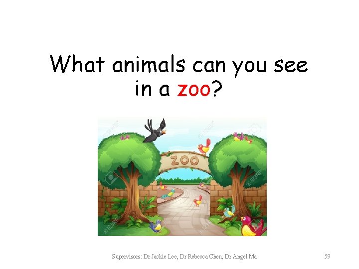 What animals can you see in a zoo? Supervisors: Dr Jackie Lee, Dr Rebecca