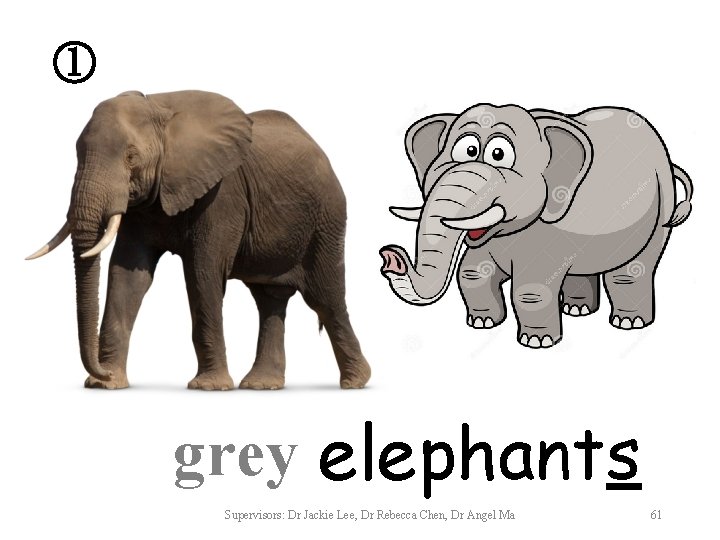 ① grey elephants Supervisors: Dr Jackie Lee, Dr Rebecca Chen, Dr Angel Ma 61