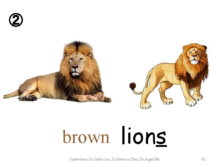 ② brown lions Supervisors: Dr Jackie Lee, Dr Rebecca Chen, Dr Angel Ma 62