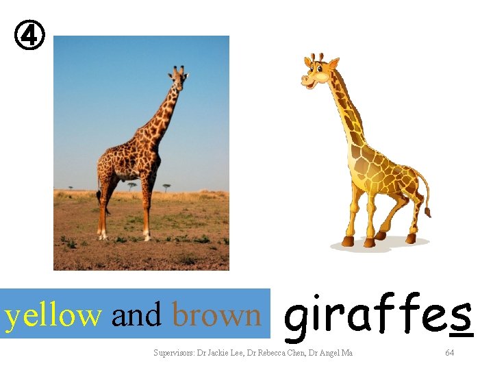 ④ yellow and brown giraffes Supervisors: Dr Jackie Lee, Dr Rebecca Chen, Dr Angel