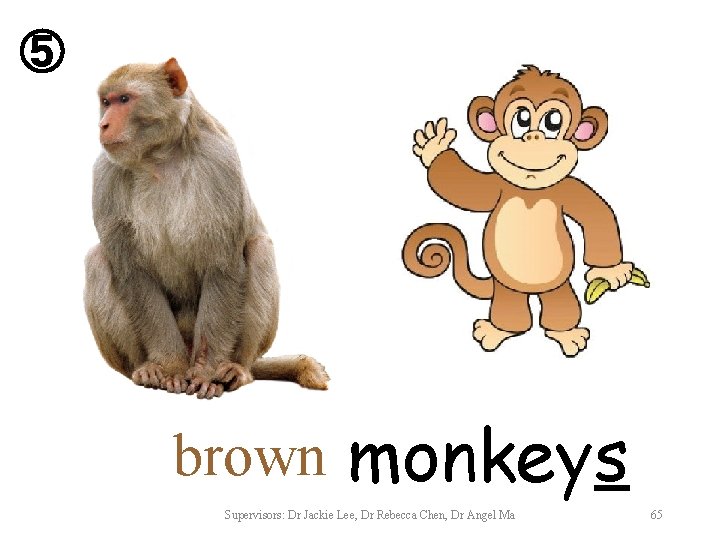 ⑤ brown monkeys Supervisors: Dr Jackie Lee, Dr Rebecca Chen, Dr Angel Ma 65