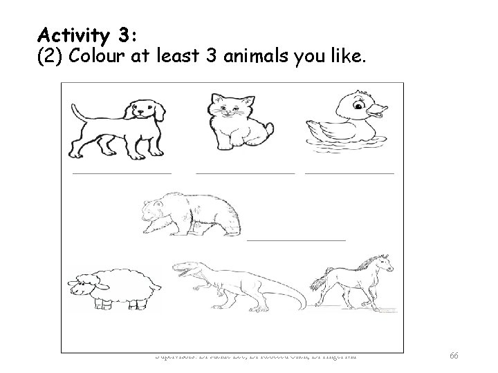 Activity 3: (2) Colour at least 3 animals you like. Supervisors: Dr Jackie Lee,