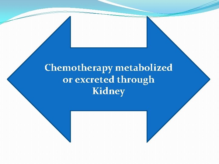 Chemotherapy metabolized or excreted through Kidney 