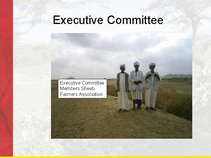 Executive Committee Members Sheeb Farmers Association 