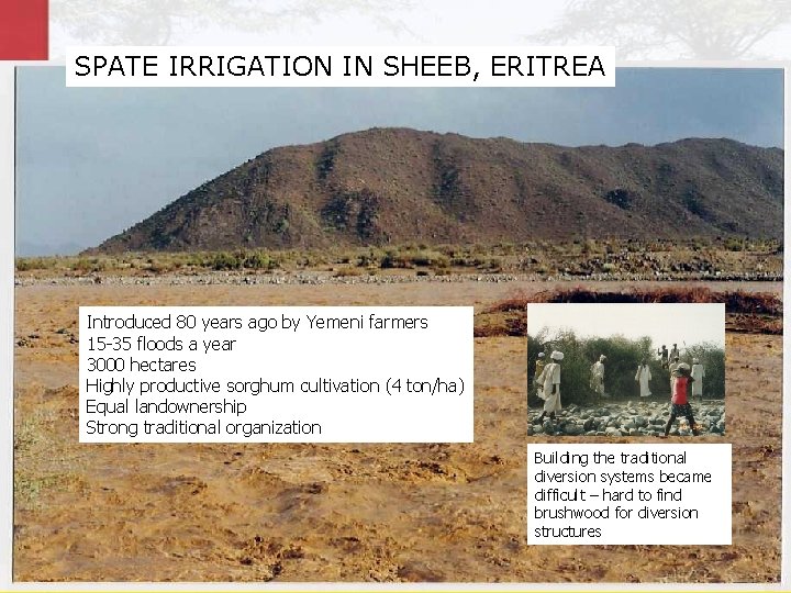 SPATE IRRIGATION IN SHEEB, ERITREA Introduced 80 years ago by Yemeni farmers 15 -35