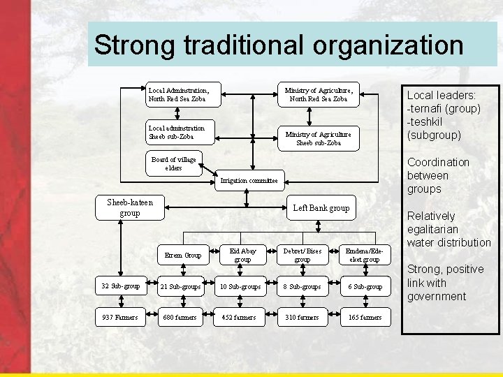 Strong traditional organization Local Adminstration, North Red Sea Zoba Ministry of Agriculture, North Red