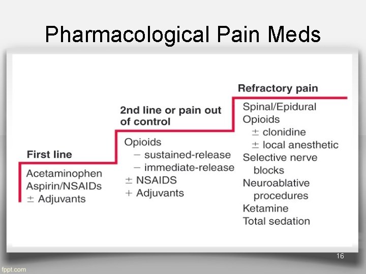 Pharmacological Pain Meds 16 