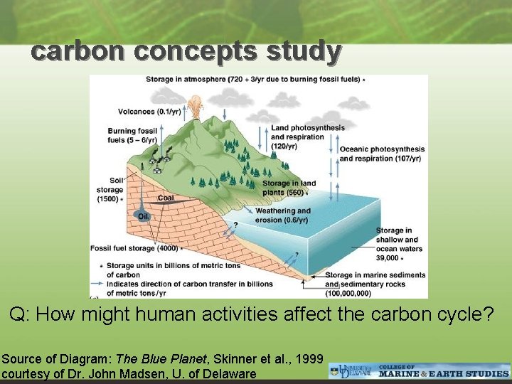  carbon concepts study Q: How might human activities affect the carbon cycle? Source