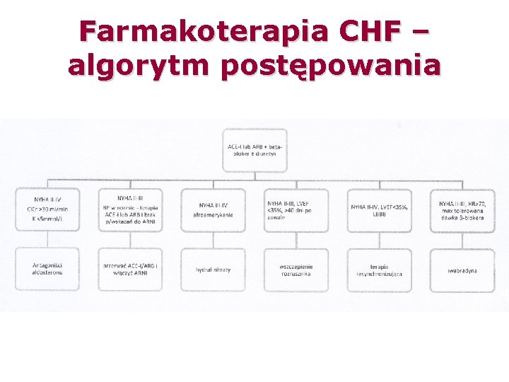 Farmakoterapia CHF – algorytm postępowania 