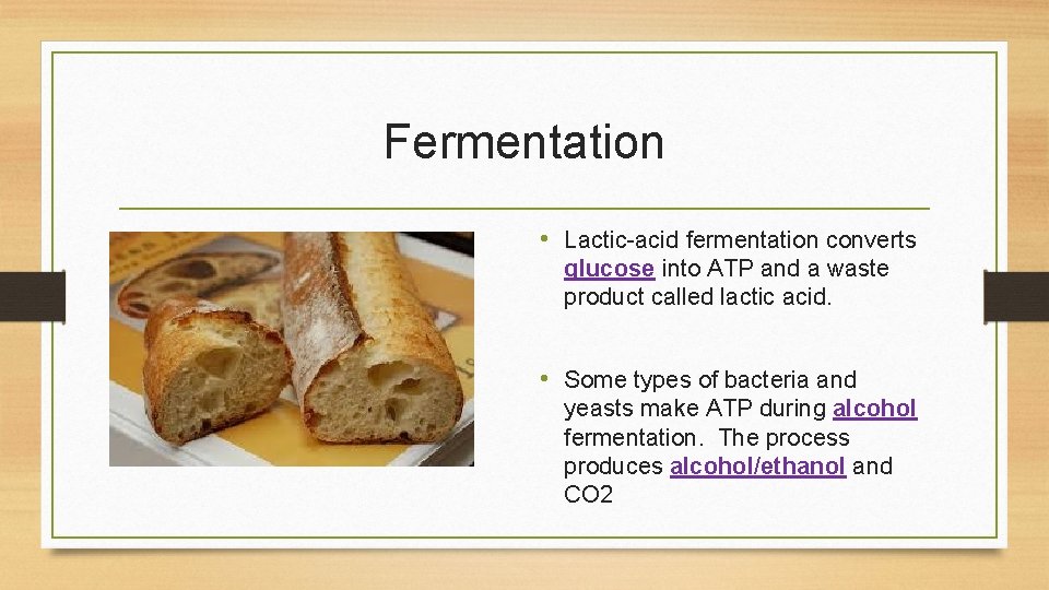 Fermentation • Lactic-acid fermentation converts glucose into ATP and a waste product called lactic