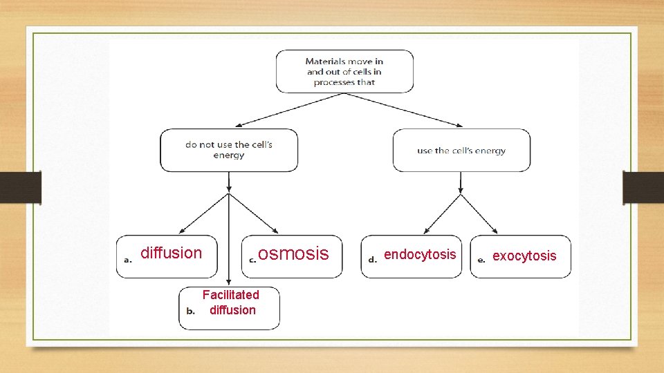 diffusion osmosis Facilitated diffusion endocytosis exocytosis 