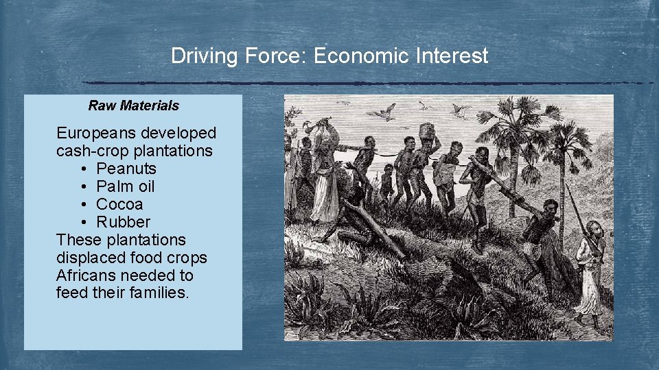 Driving Force: Economic Interest Raw Materials Europeans developed cash-crop plantations • Peanuts • Palm