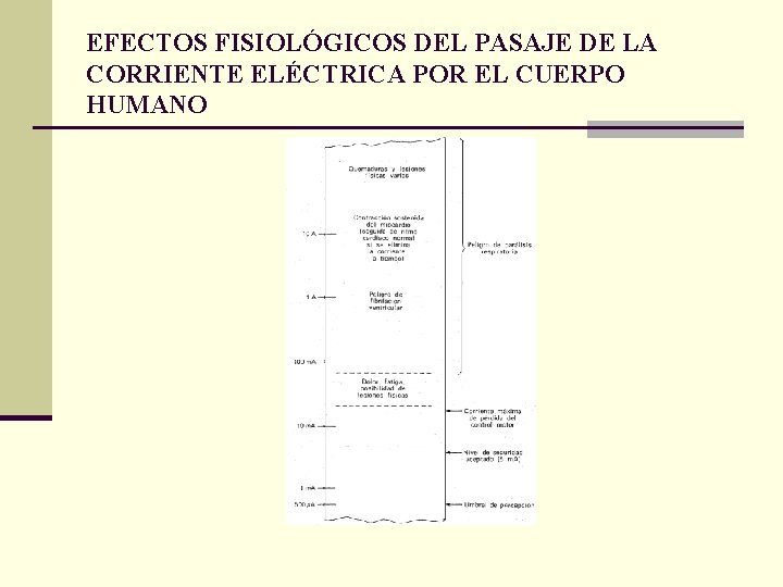 EFECTOS FISIOLÓGICOS DEL PASAJE DE LA CORRIENTE ELÉCTRICA POR EL CUERPO HUMANO 