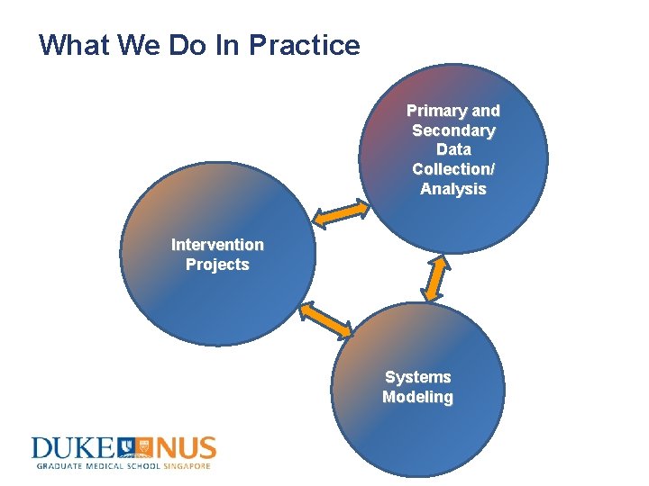 What We Do In Practice Primary and Secondary Data Collection/ Analysis Intervention Projects Systems