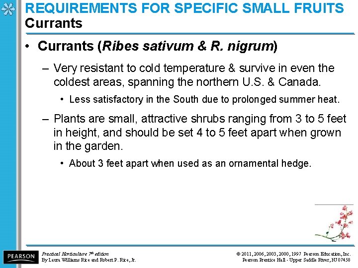REQUIREMENTS FOR SPECIFIC SMALL FRUITS Currants • Currants (Ribes sativum & R. nigrum) –