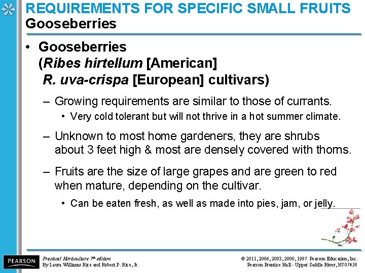 REQUIREMENTS FOR SPECIFIC SMALL FRUITS Gooseberries • Gooseberries (Ribes hirtellum [American] R. uva-crispa [European]