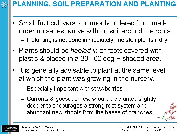 PLANNING, SOIL PREPARATION AND PLANTING • Small fruit cultivars, commonly ordered from mailorder nurseries,