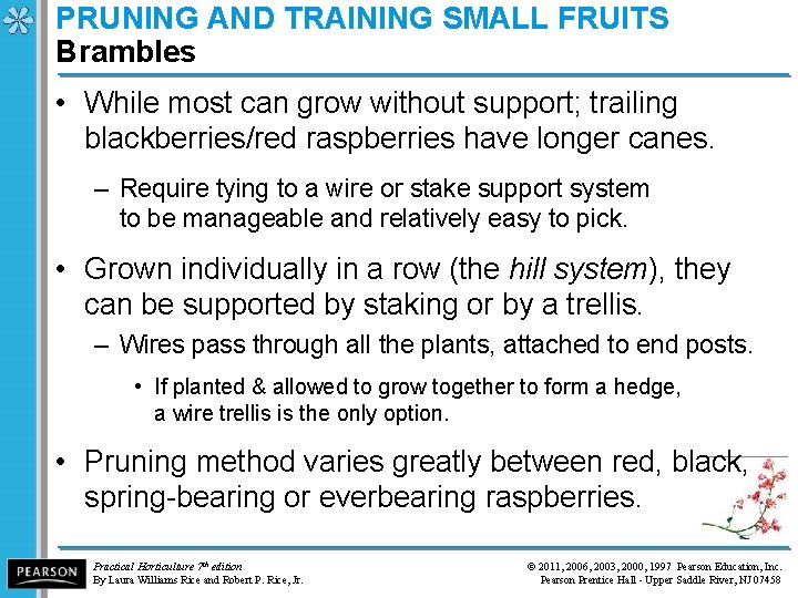 PRUNING AND TRAINING SMALL FRUITS Brambles • While most can grow without support; trailing