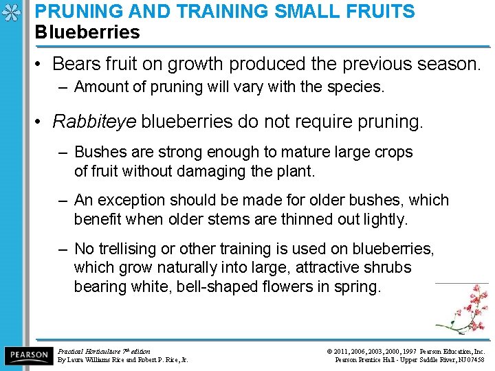 PRUNING AND TRAINING SMALL FRUITS Blueberries • Bears fruit on growth produced the previous