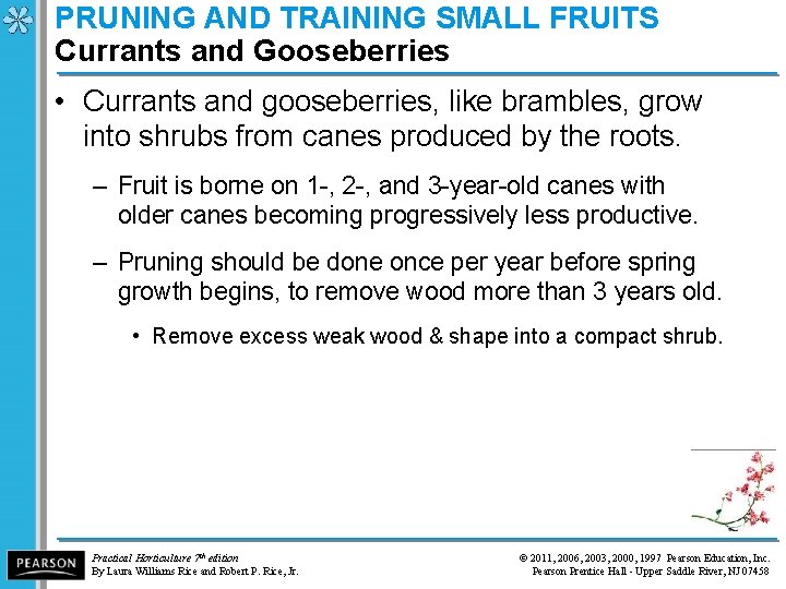 PRUNING AND TRAINING SMALL FRUITS Currants and Gooseberries • Currants and gooseberries, like brambles,