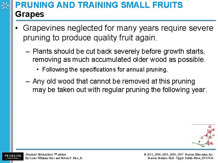 PRUNING AND TRAINING SMALL FRUITS Grapes • Grapevines neglected for many years require severe