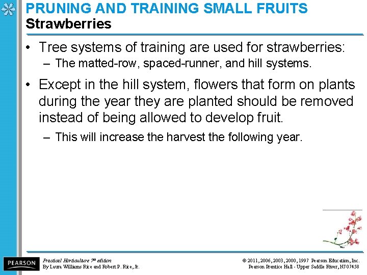 PRUNING AND TRAINING SMALL FRUITS Strawberries • Tree systems of training are used for