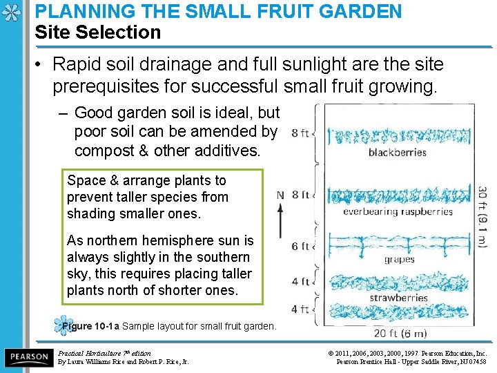 PLANNING THE SMALL FRUIT GARDEN Site Selection • Rapid soil drainage and full sunlight