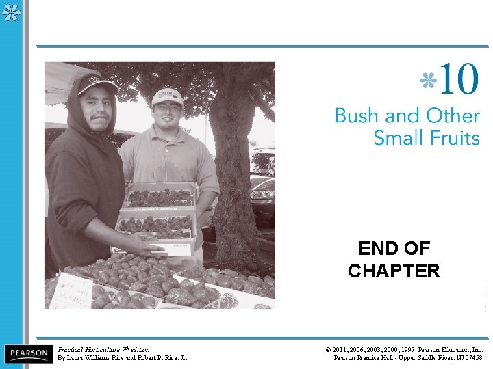 END OF CHAPTER Practical Horticulture 7 th edition By Laura Williams Rice and Robert