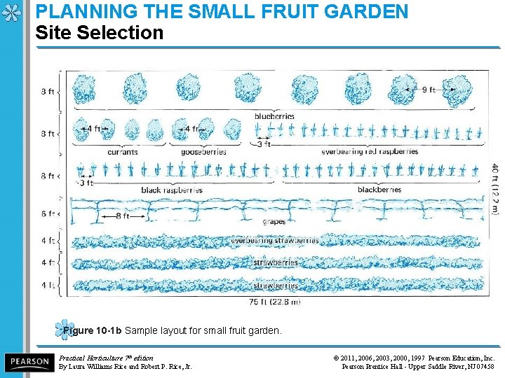 PLANNING THE SMALL FRUIT GARDEN Site Selection Figure 10 -1 b Sample layout for
