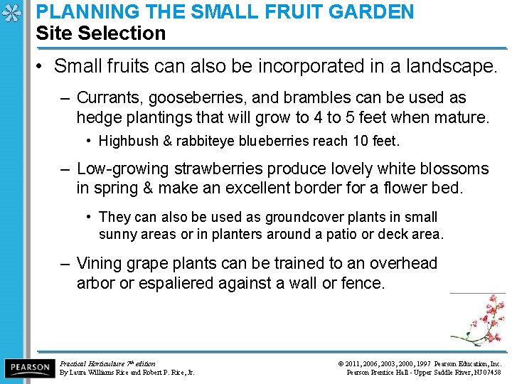 PLANNING THE SMALL FRUIT GARDEN Site Selection • Small fruits can also be incorporated