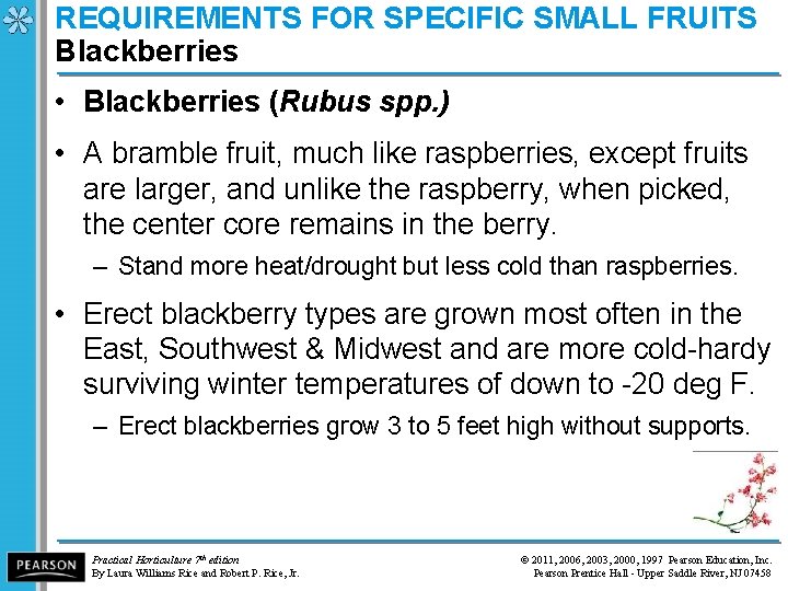 REQUIREMENTS FOR SPECIFIC SMALL FRUITS Blackberries • Blackberries (Rubus spp. ) • A bramble