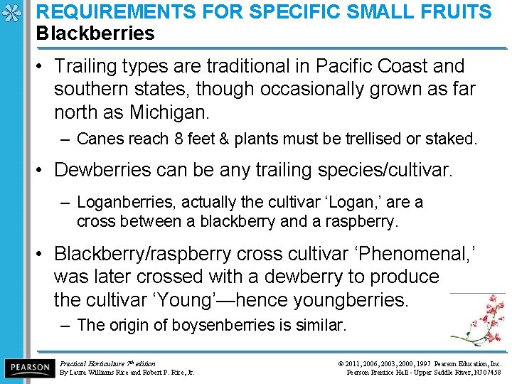 REQUIREMENTS FOR SPECIFIC SMALL FRUITS Blackberries • Trailing types are traditional in Pacific Coast
