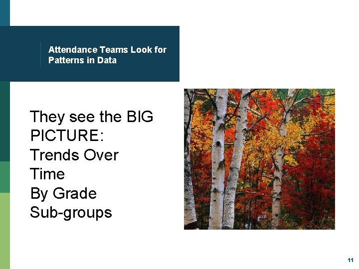 Attendance Teams Look for Patterns in Data They see the BIG PICTURE: Trends Over