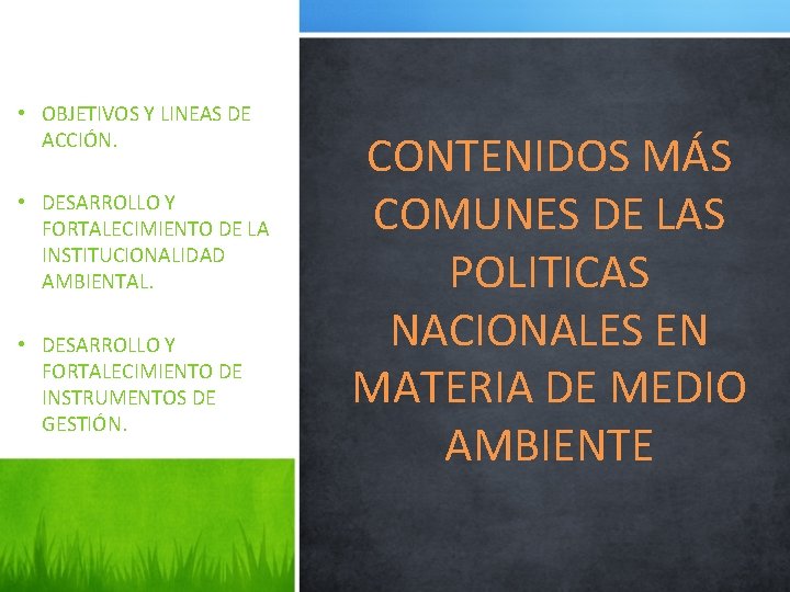  • OBJETIVOS Y LINEAS DE ACCIÓN. • DESARROLLO Y FORTALECIMIENTO DE LA INSTITUCIONALIDAD