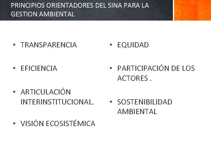 PRINCIPIOS ORIENTADORES DEL SINA PARA LA GESTION AMBIENTAL • TRANSPARENCIA • EQUIDAD • EFICIENCIA