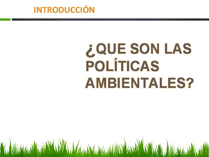 INTRODUCCIÓN ¿QUE SON LAS POLÍTICAS AMBIENTALES? 