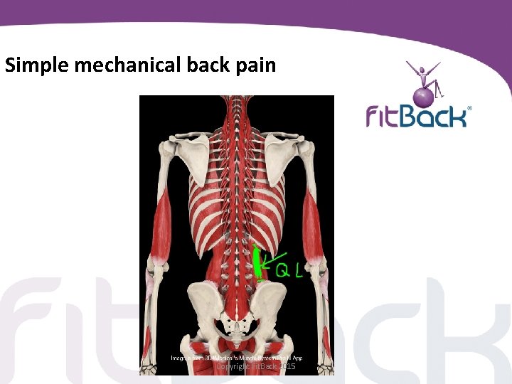 Simple mechanical back pain Copyright Fit. Back 2015 