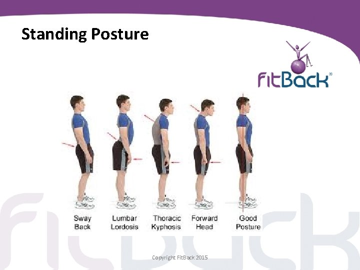 Standing Posture Copyright Fit. Back 2015 