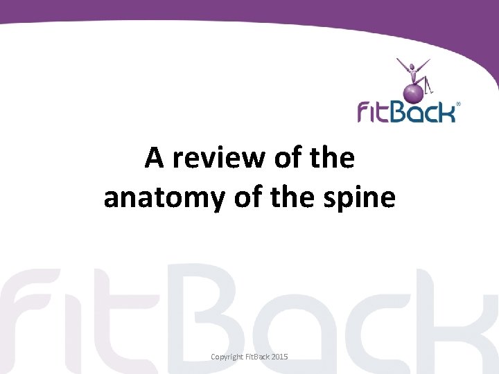 A review of the anatomy of the spine Copyright Fit. Back 2015 