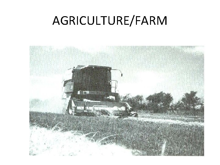 AGRICULTURE/FARM 