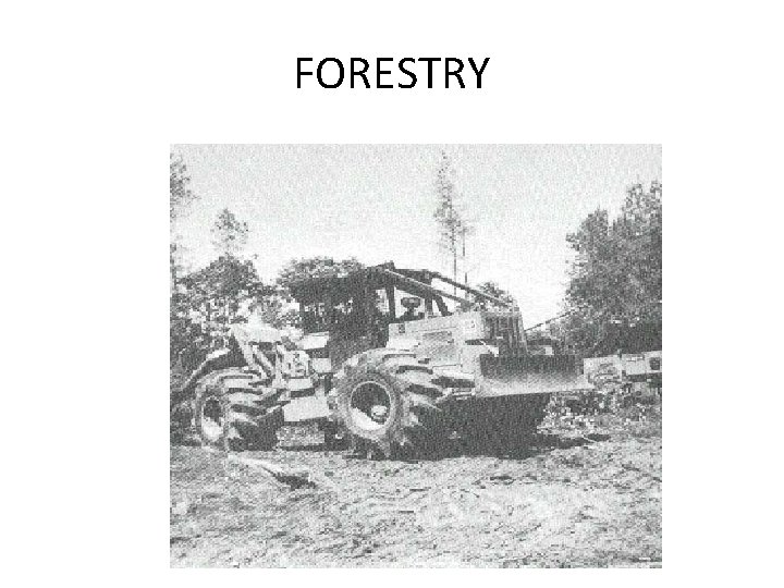 FORESTRY 