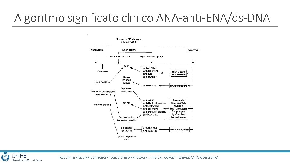 Algoritmo significato clinico ANA-anti-ENA/ds-DNA FACOLTA’ di MEDICINA E CHIRURGIA - CORSO DI REUMATOLOGIA –