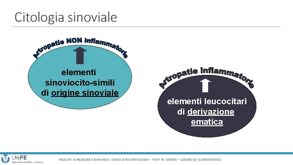 Citologia sinoviale elementi sinoviocito-simili di origine sinoviale elementi leucocitari di derivazione ematica FACOLTA’ di