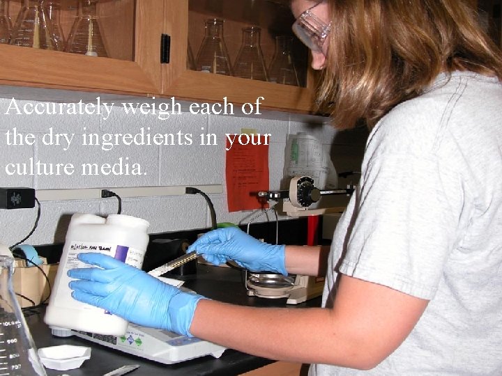 Accurately weigh each of the dry ingredients in your culture media. 
