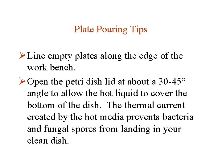 Plate Pouring Tips Ø Line empty plates along the edge of the work bench.