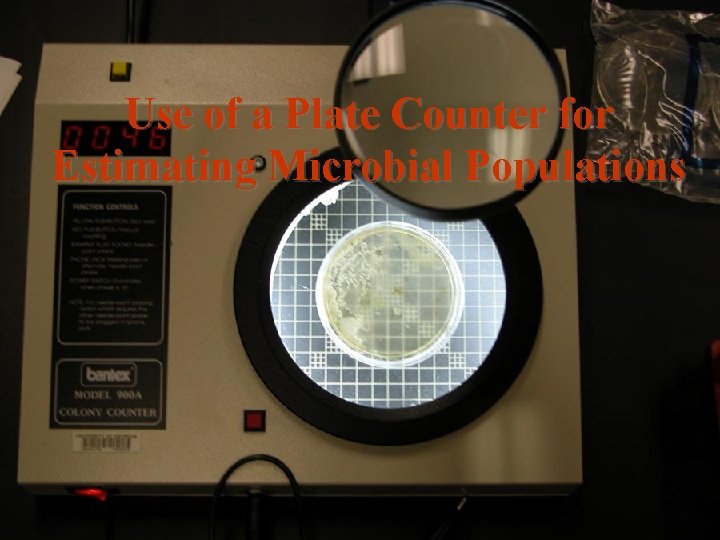 Use of a Plate Counter for Estimating Microbial Populations 